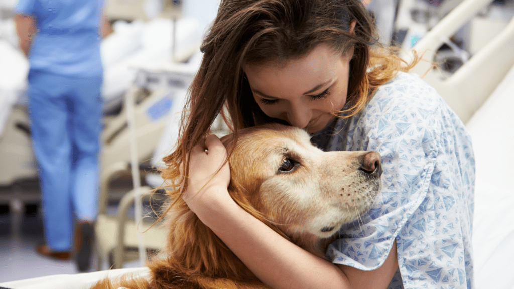 What are therapy dogs and how can they help those with fibromyalgia? - Blog